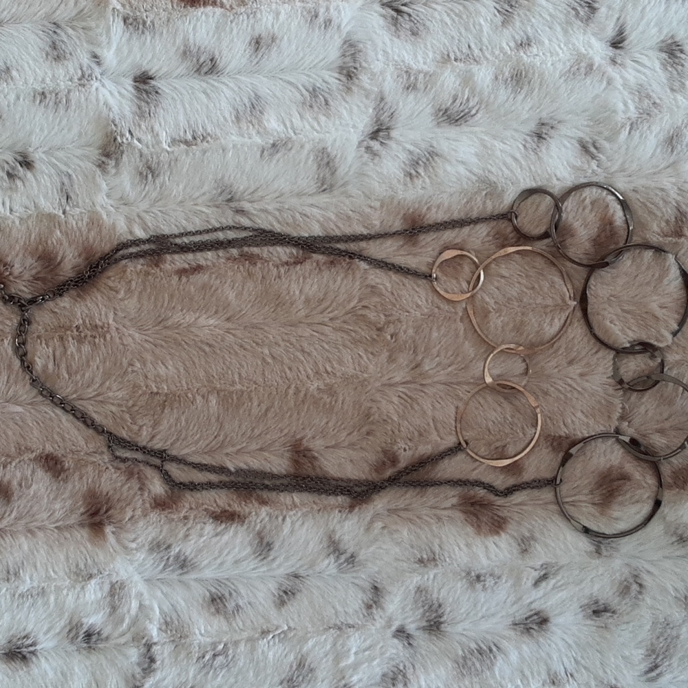 Circle Ring Necklace